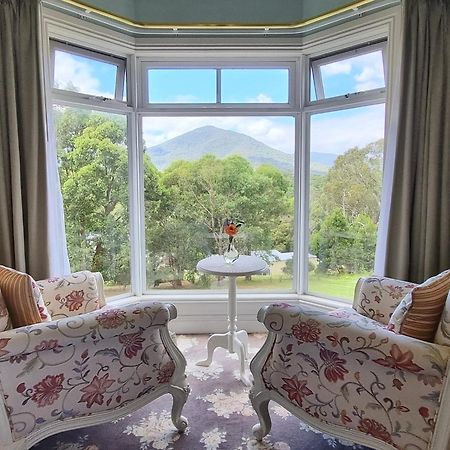 Rosebank Guesthouse 힐스빌 외부 사진
