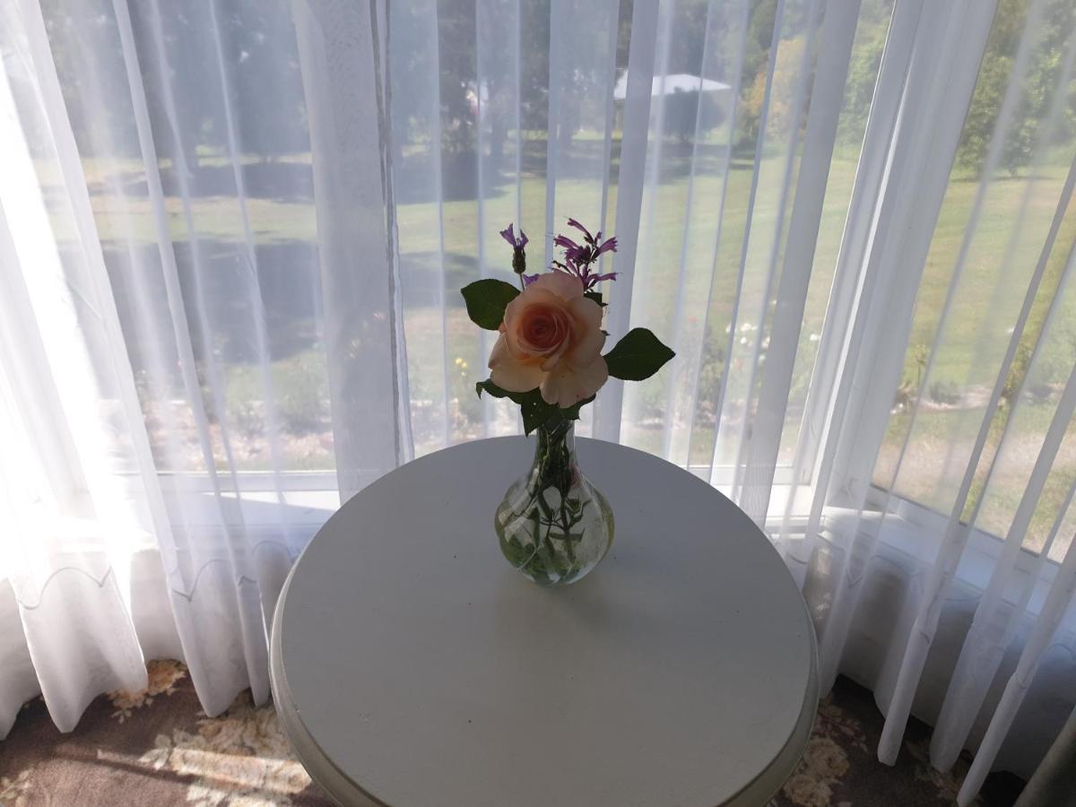Rosebank Guesthouse 힐스빌 외부 사진